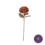 VARA HORTENSIA OTOÑAL