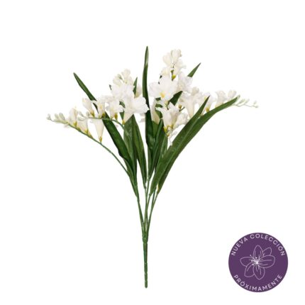 R. FRESIAS PRIMAVERAL