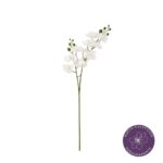 VARA ORQUIDEA PQ REAL TOUCH *BLANCO