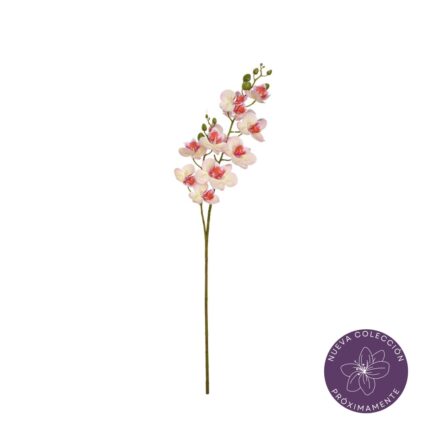 VARA ORQUIDEA PQ REAL TOUCH