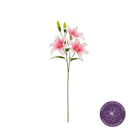 VARA LILIUM X3 REAL TOUCH