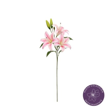 VARA LILIUM X3 REAL TOUCH