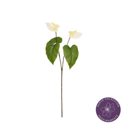 VARA ANTHURIUM X2 *BLANCO