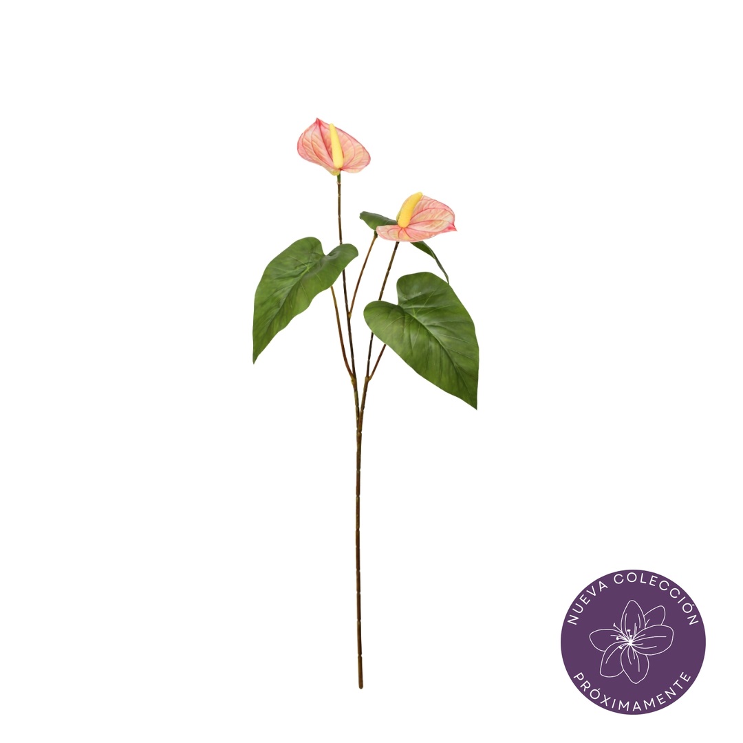 VARA ANTHURIUM X2 *ROSA