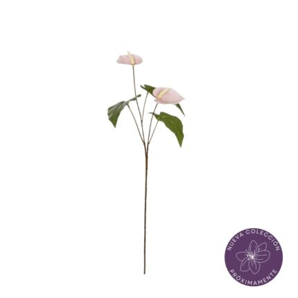 VARA ANTHURIUM X2 *ROSA SUAVE