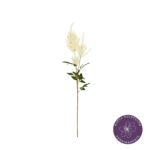 VARA AMARANTHUS *BEIGE