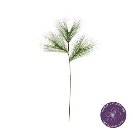 VARA ESPARRAGUERA *V.OSCURO