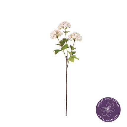 VARA ALLIUM X3 *BLANCO