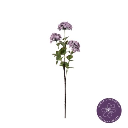 VARA ALLIUM X3 *MALVA