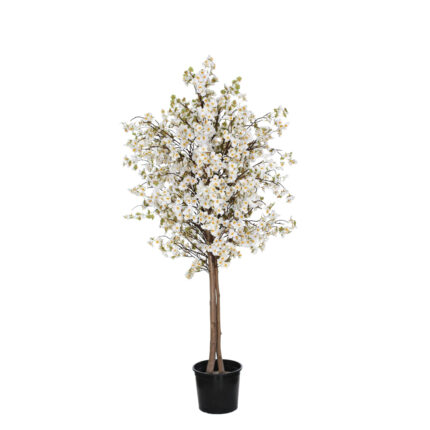 ARBOL ALMENDRO 1.50CM *BLANCO