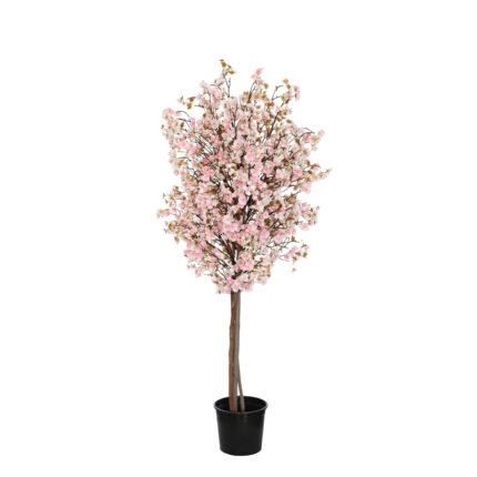 ARBOL ALMENDRO 1.50CM *CREMA