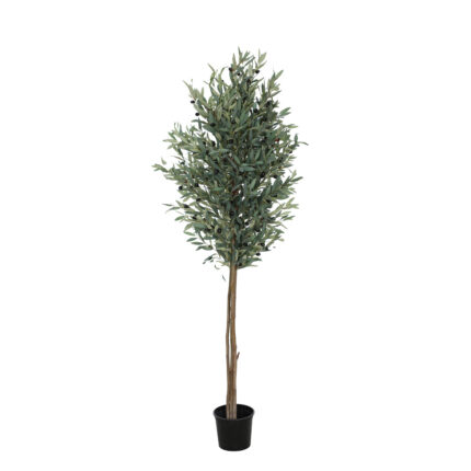 ARBOL OLIVO 180CM