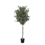 ARBOL EUCALIPTO OTOÑAL 180CM