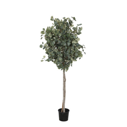 ARBOL EUCALIPTO OTOÑAL 180CM