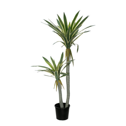 PLANTA PALDANO X2 1.30CM *V.OSCURO