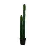 PLANTA CACTUS PACHYCEREUN MARGINATUS X2 125CM *V.OSCURO