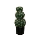 CACTUS ECHINOCACTUS GRUSONII 45CM *V.OSCURO