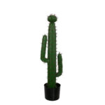 PLANTA CACTUS CEREUS 75CM *V.OSCURO