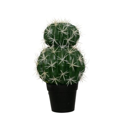 CACTUS ECHINOCACTUS GRUSONII 30CM *V.OSCURO