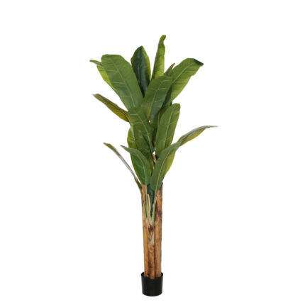 PLATANERA 190CM *V.OSCURO