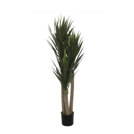 YUCCA 150CM *V.OSCURO