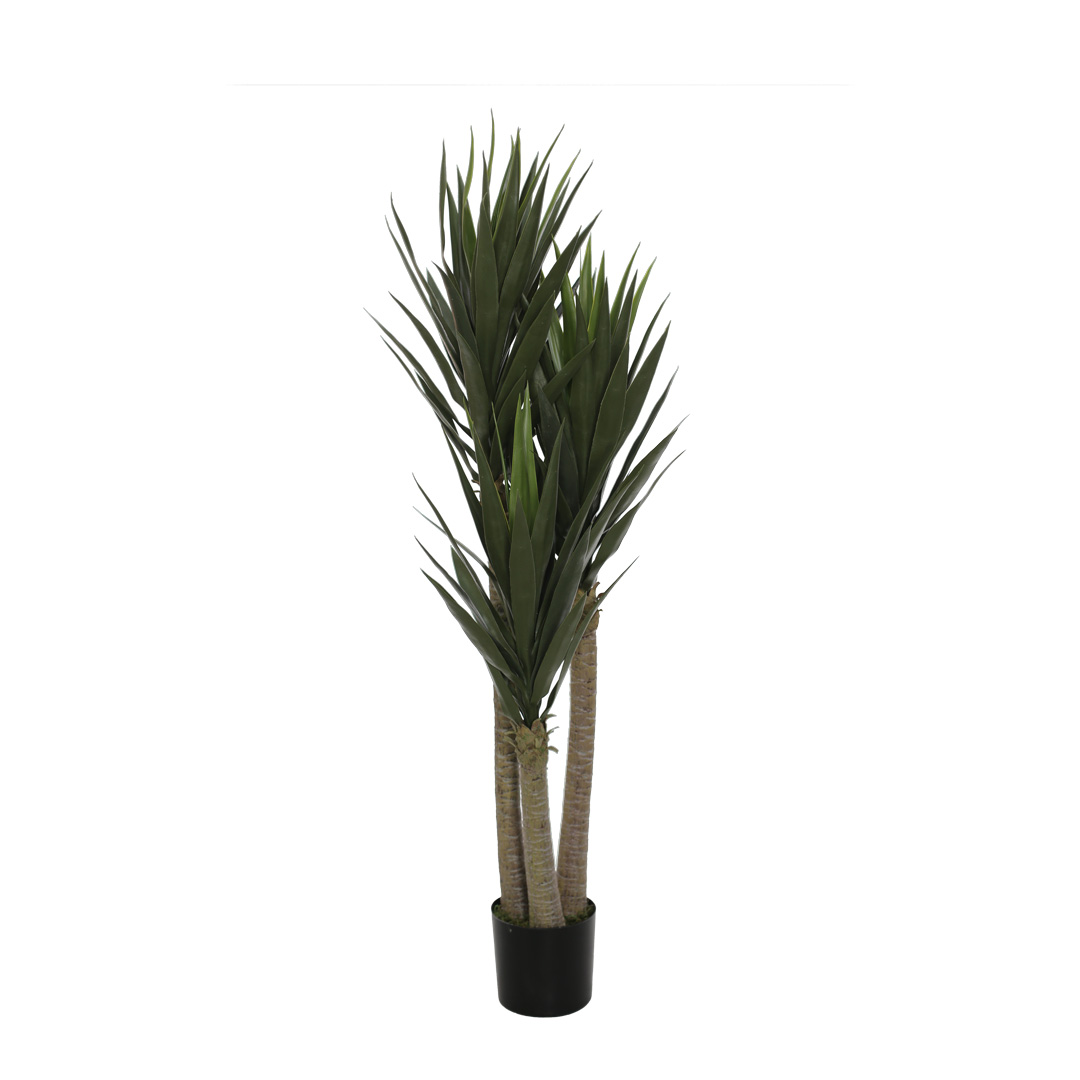B108TY-19.jpg YUCCA 150CM *V.OSCURO