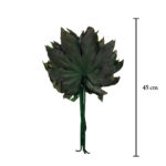 ARALIA PRES.
