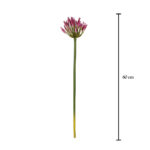 BOUVARDIA SPRAY
