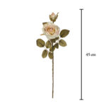 VARA ROSA