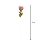 VARA PROTEA