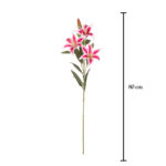VARA LILIUM *FUXIA