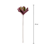 DALIA *FUXIA
