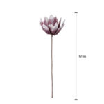 PROTEA