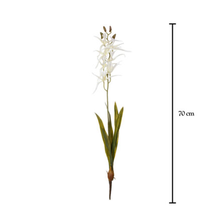VARA ORQUIDEA