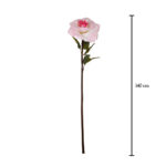 VARA ROSA GIGANTE