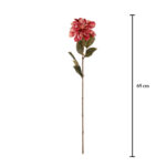 DALIA 66CM *BURBUNDY