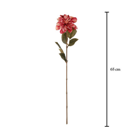 DALIA 66CM *BURBUNDY