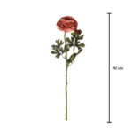 V.DALIA AFRICANA OTOÑAL