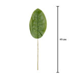 HOJA