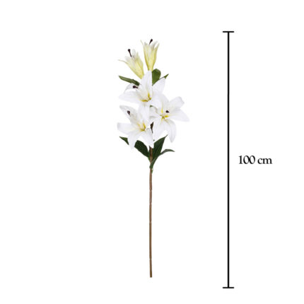V.LILIUM LUX