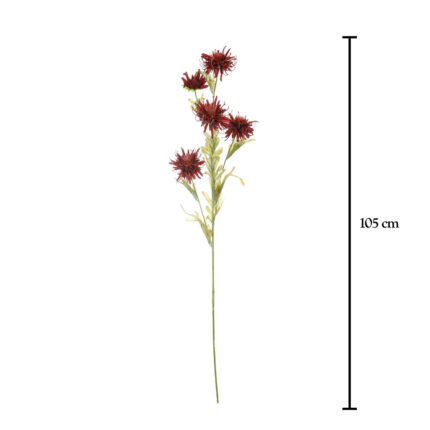 VARA CLEMATIS (17) *BURDEOS