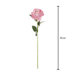 ROSA "KING"