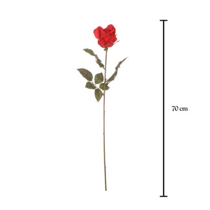 VARA CAPULLO GOLDEN 70CM