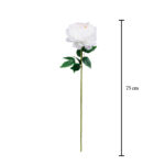 VARA PEONYA 80CM *FUXIA