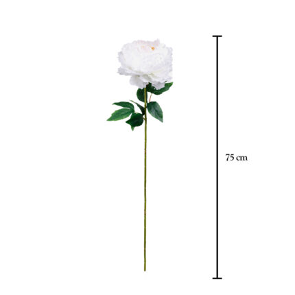 VARA PEONYA 80CM *FUXIA