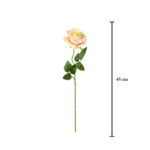 VARA ROSA