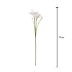 VARA ORQUIDEA