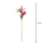 VARA LILIUM ST.