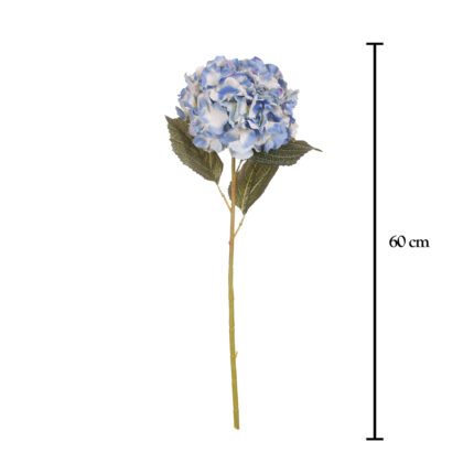 VARA HORTENSIA MEDIANA