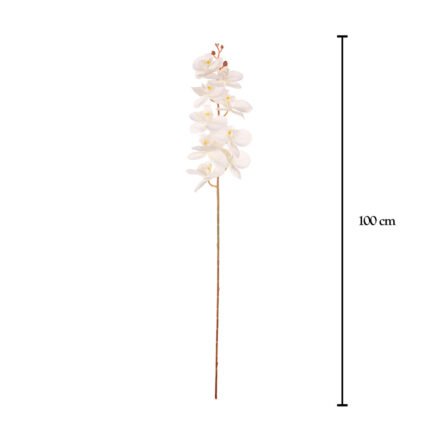 VARA ORQUIDEA OTOÑAL